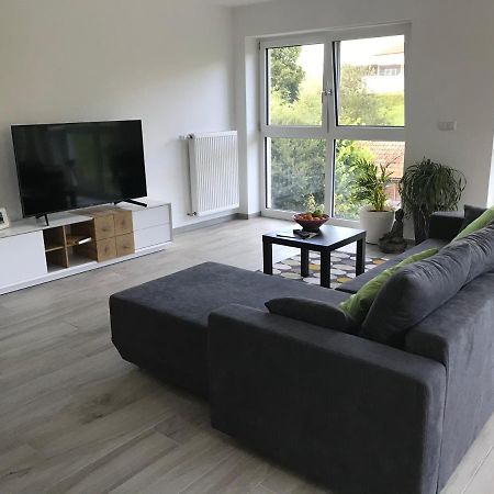 Ferienwohnung „Frosch“ Neukirchen-Balbini Екстериор снимка